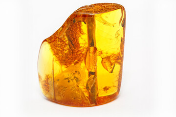 Amber with insects on a white background. Unique polished pieces of natural amber on a dark...