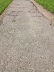 Empty asphalt road and green tea plantation nature landscape.