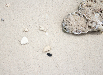 Sea beach sand with coral texture background