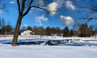 winter landscape with trees and snow