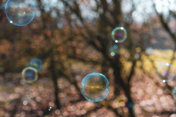 Colorful soap bubbles flying against blurred natural background, close up. Sunny day.