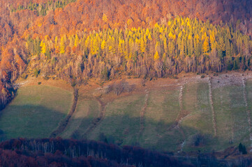 Bieszczadzka jesień / Autumn in Bieszczady © LukaszB