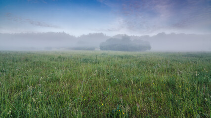 Fototapeta na wymiar Amazing, mystical, inimitable spectacular, spring morning in the fog.