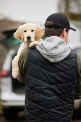 Male Criminal Stealing Or Dognapping Puppy During Health Lockdown