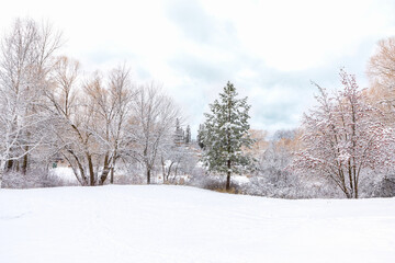 Obraz premium winter morning scene after fresh snowfall, Riverside Park, Whitefish, Montana