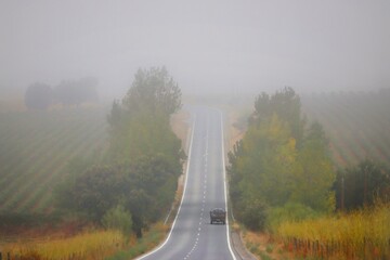 In the road