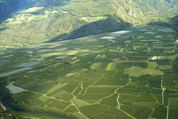 Apfelplantagen im Vinschgau