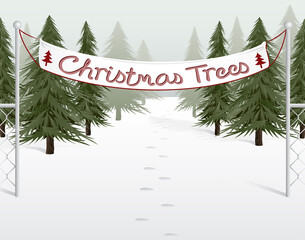 Christmas trees for sale on a snowy tree lot with footprints going in  © MLWilson