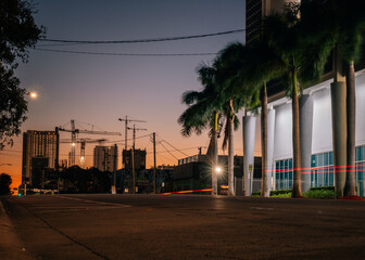 street at night Miami Florida midtown wynwood florida palms sky buildings light 