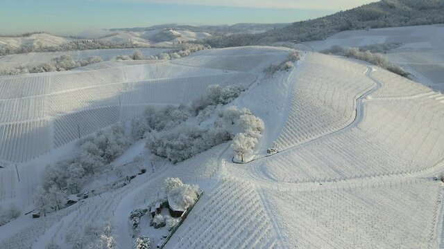 Panorama Of Snowscape Vineyards In The Black Forest Near Offenburg, Germany. - Aerial Pullback Shot