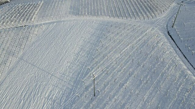 Vineyards Covered With Snow At Daytime Near Zell-Weierbach In Offenburg, Germany. - aerial
