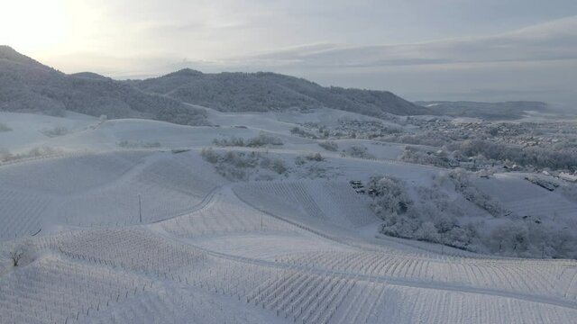 Vineyards Covered With Thick Snow During Winter Season In Zell-Weierbach In Offenburg, Germany. - aerial