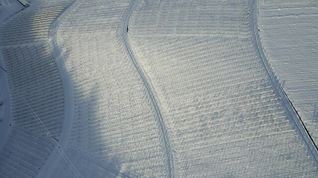 Drone Fly Over Expansive Agricultural Vineyards Of Ortenberg near Offenburg, Baden-Wuerttemberg, Germany, Europe During Sunny Winter Day. - Aerial Shot 
