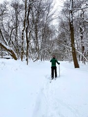 Cross country ski in the snowy woods