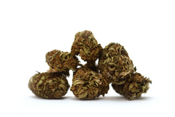 Composition with dried flowers of CBD variety therapy, on a white background.