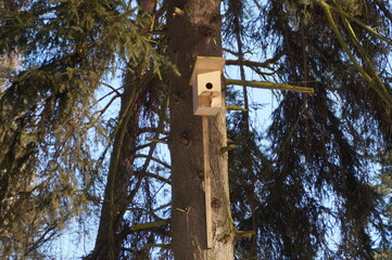 birdhouse in the winter forest