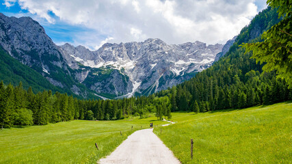 Beautiful alpine valley with field of green grass surrounded by mountans. Jezersko, Slovenia.