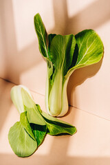 Pak Choi, pok choi, bok choy, fresh green Chinese cabbage on beige background. Healthy lifestyle theme