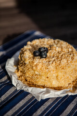 homemade cake decorated with crumbs and blueberries on a dark background