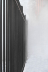 foggy forest behind a black wrought-iron fence