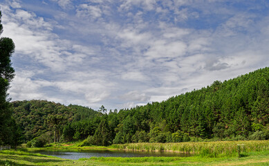 Panorama in the middle of the pine forest with a lake in the middle, in the city of Apiai, São Paulo, Brazil.