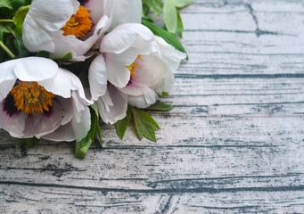spring flowers on wooden background. Space for text, flat lay