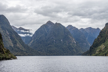 Fjord Environment  in Doubtful Sound, Fiordland, New Zealand