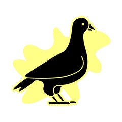 Pigeon vector icon.black vector icon isolated