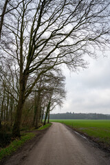 View over the former Slats (Swamp) in Loenen (The Netherlands) at the edge of Veluwe and IJsselvallei (IJssel Valley)