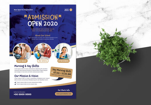 Exclusive Junior School Admission Flyer with Blue Gold Accent