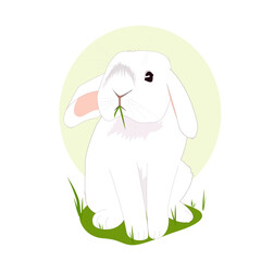 Cute fluffy white rabbit sits and chews green grass. Animals. Modern vector flat illustration