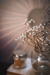 stylish white dried flowers in a glass jar