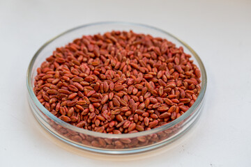 Wheat seeds, cereal seeds with red seed dressing or seed treatment