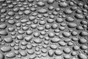 Many water droplets on a surface