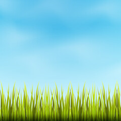 Cartoons Landscape with blue sky and green grass meadow background. vector illustration