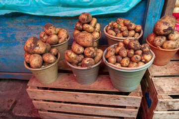 alimentos comida verduras frutas flores pescado chiles papas pollo especies 