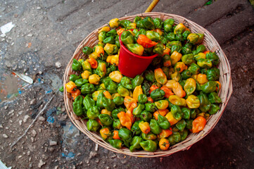 alimentos comida verduras frutas flores pescado chiles papas pollo especies 