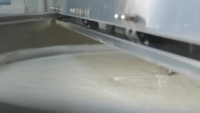 stirring milk in a cheese dairy with a special mixer in a large vat. Pasteurization and mixing of cheese milk. Cheese production in a small family cheese dairy