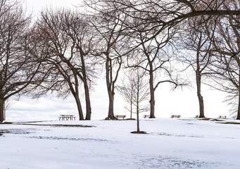 Lonely park in isolation