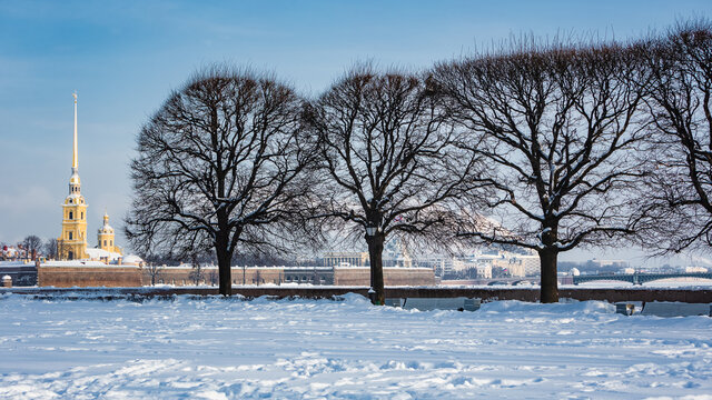 Peter and Paul Fortress on Zayachy island. Sights of St. Petersburg. Winter in the city on the Neva in Russia