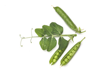 Pods of green peas with leaves isolated on white background