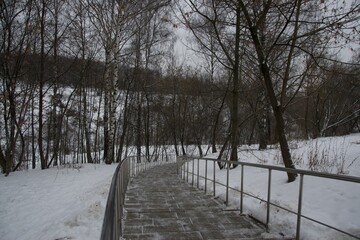 path in winter