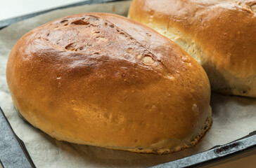 Yeast buns on a baking sheet