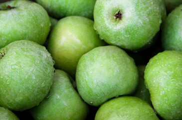 Apple background for designers. Green apples after rain