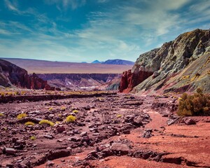 Desert landscape red mars like