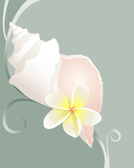 A bright white conch shell with a plumeria flower on a green swirl background. 
