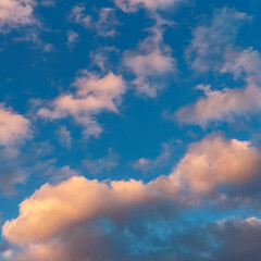 Fototapeta premium evening blue sky with golden clouds as natural background