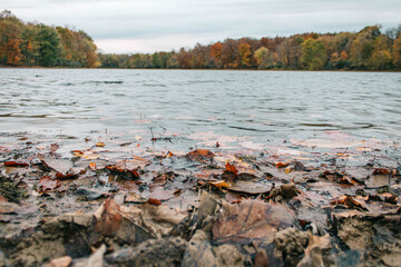 fall lake view