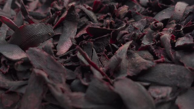 Purple-pink beetroots are kept in the sun to dry. Dried beetroots slice background. Top views. 4k Video.