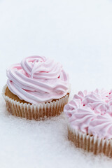 Cupcakes with vanilla flavor and light pink fluff photographed in the snow.